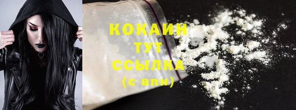 ECSTASY Белокуриха