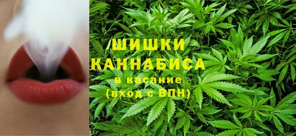 ECSTASY Белокуриха
