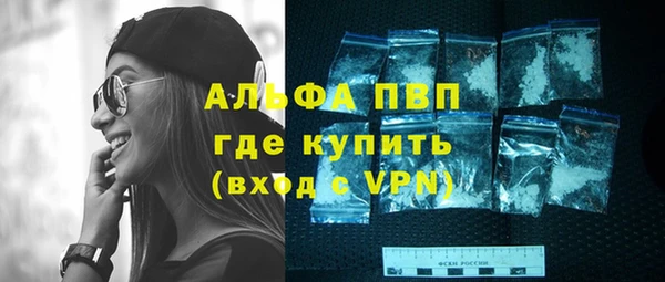 ECSTASY Белокуриха