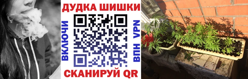 где найти   блэк спрут ссылки  МАРИХУАНА тримм  Курильск 